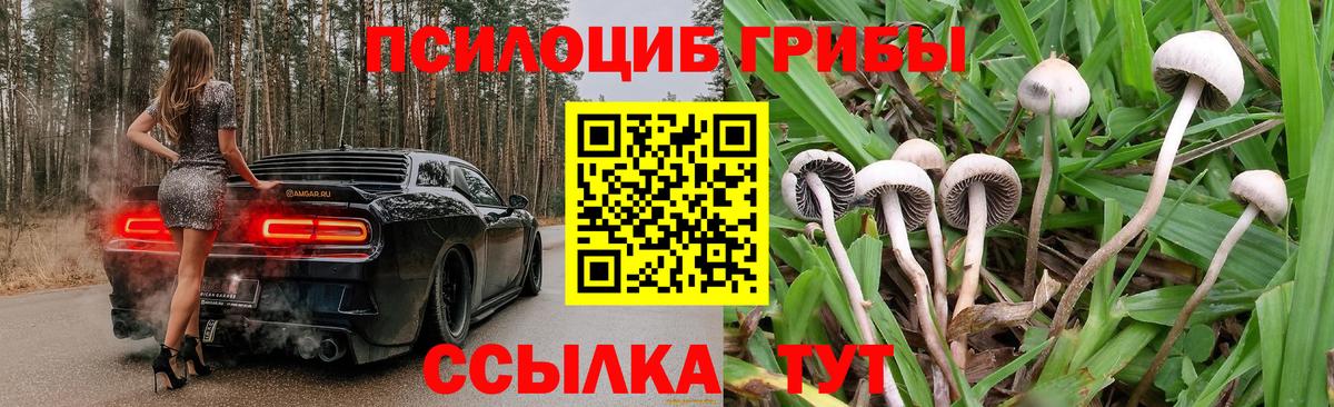 Галлюциногенные грибы мицелий Лянтор